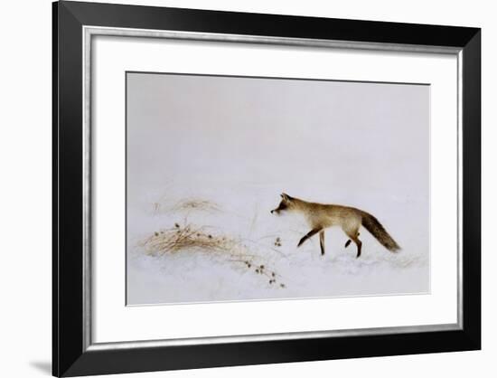 Fox in Snow-Jane Neville-Framed Giclee Print