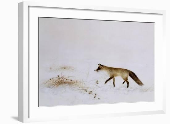 Fox in Snow-Jane Neville-Framed Giclee Print