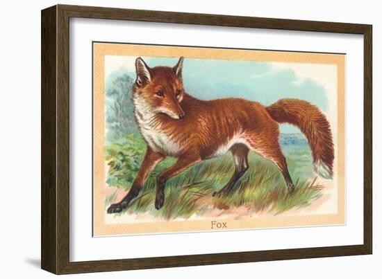 Fox in the Meadow-null-Framed Art Print