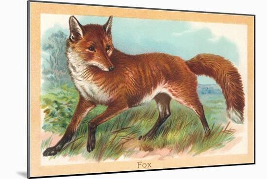 Fox in the Meadow-null-Mounted Art Print
