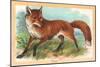 Fox in the Meadow-null-Mounted Art Print