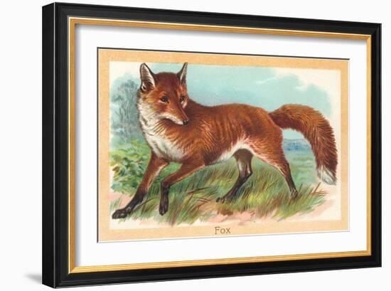 Fox in the Meadow-null-Framed Premium Giclee Print