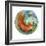 Fox in the Round-Wyanne-Framed Giclee Print