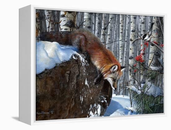 Fox in Winter-Kevin Daniel-Framed Stretched Canvas