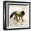 Fox Joy I-Ken Roko-Framed Art Print