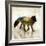 Fox Joy I-Ken Roko-Framed Art Print