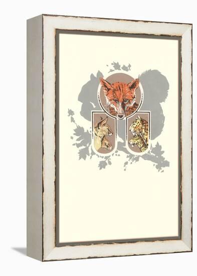 Fox, Lynx, Cougar and Squirrel Graphic-null-Framed Premier Image Canvas
