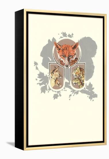 Fox, Lynx, Cougar and Squirrel Graphic-null-Framed Premier Image Canvas