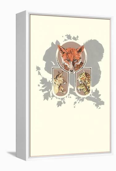 Fox, Lynx, Cougar and Squirrel Graphic-null-Framed Premier Image Canvas