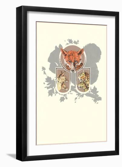 Fox, Lynx, Cougar and Squirrel Graphic-null-Framed Giclee Print