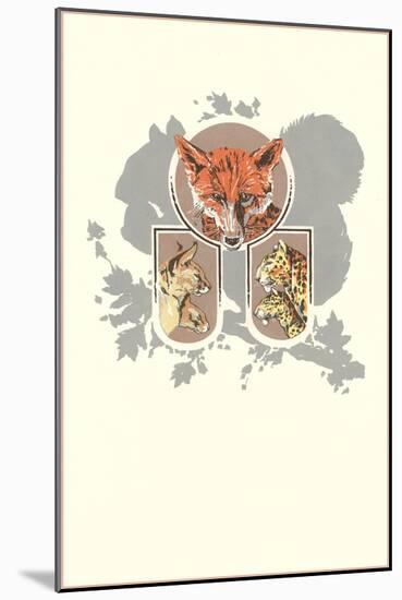 Fox, Lynx, Cougar and Squirrel Graphic-null-Mounted Giclee Print