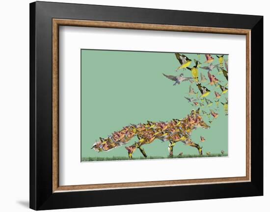 Fox of birds-Claire Westwood-Framed Art Print