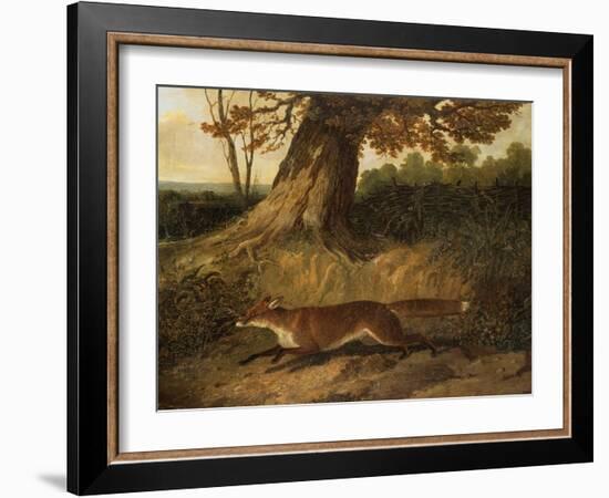 Fox on the Run-John Frederick Herring I-Framed Giclee Print