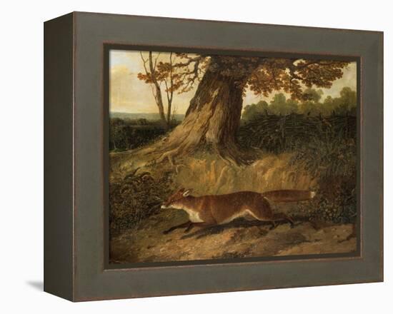 Fox on the Run-John Frederick Herring I-Framed Premier Image Canvas