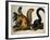 Fox Squirrel, from Quadrupeds of America, 1845-John James Audubon-Framed Premium Giclee Print