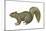 Fox Squirrel (Sciurus Niger), Mammals-Encyclopaedia Britannica-Mounted Art Print