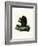 Fox Squirrel-null-Framed Giclee Print