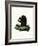 Fox Squirrel-null-Framed Giclee Print