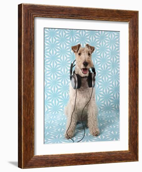 Fox Terrier with Headphones-null-Framed Photographic Print