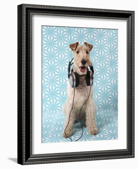 Fox Terrier with Headphones-null-Framed Photographic Print