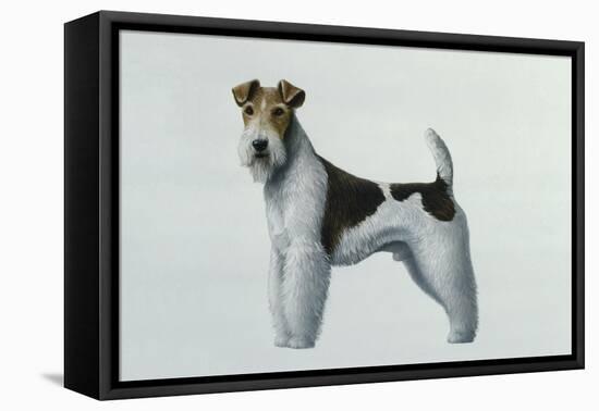 Fox Terrier-Harro Maass-Framed Premier Image Canvas