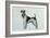 Fox Terrier-Harro Maass-Framed Giclee Print