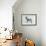 Fox Terrier-Harro Maass-Framed Giclee Print displayed on a wall