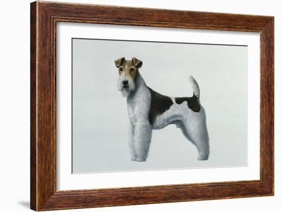 Fox Terrier-Harro Maass-Framed Giclee Print