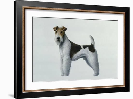 Fox Terrier-Harro Maass-Framed Giclee Print