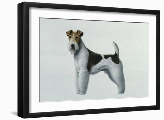 Fox Terrier-Harro Maass-Framed Giclee Print