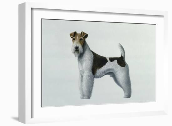 Fox Terrier-Harro Maass-Framed Giclee Print