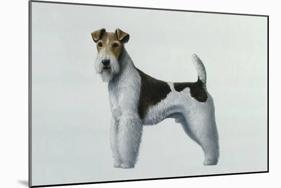 Fox Terrier-Harro Maass-Mounted Giclee Print