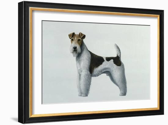 Fox Terrier-Harro Maass-Framed Giclee Print