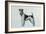 Fox Terrier-Harro Maass-Framed Giclee Print