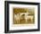 Fox Terriers Rough and Smooth-Vero Shaw-Framed Photographic Print