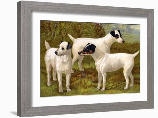 Fox Terriers-Vero Shaw-Framed Art Print