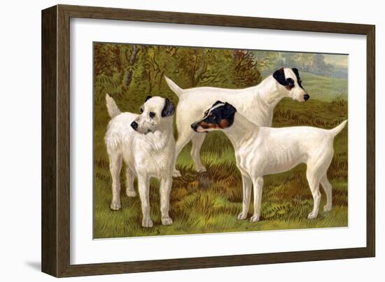 Fox Terriers-Vero Shaw-Framed Art Print