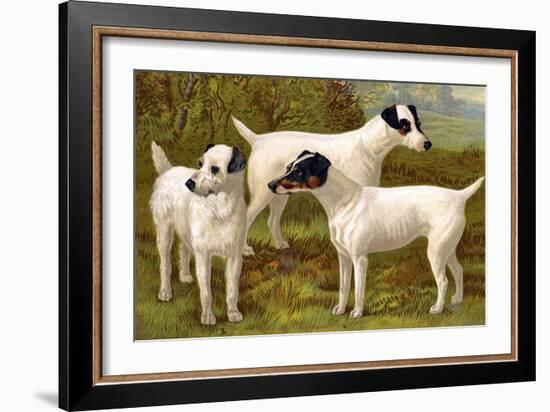 Fox Terriers-Vero Shaw-Framed Art Print