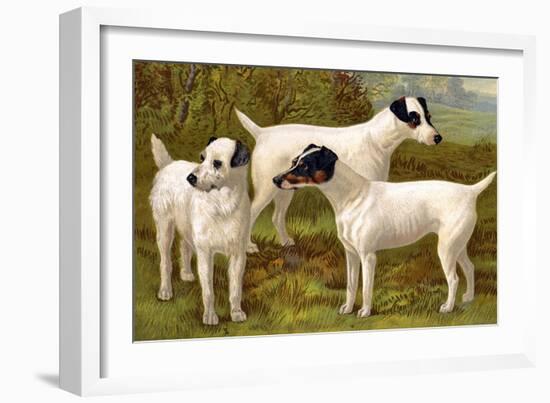 Fox Terriers-Vero Shaw-Framed Art Print