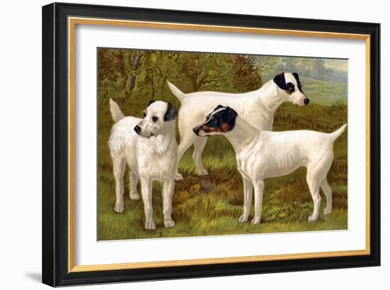 Fox Terriers-Vero Shaw-Framed Art Print