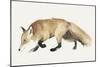 Fox Trot I-Grace Popp-Mounted Art Print