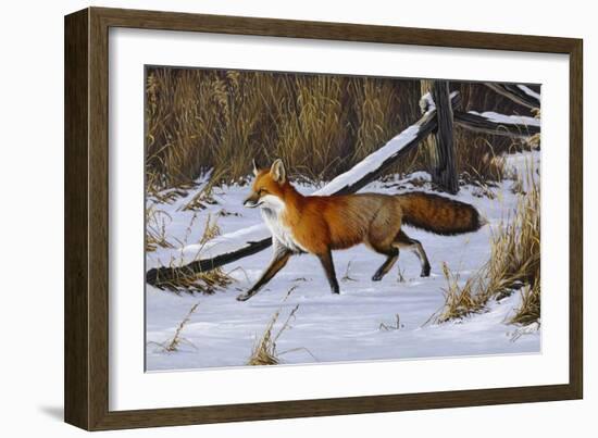Fox Trot - Red Fox-Wilhelm Goebel-Framed Giclee Print