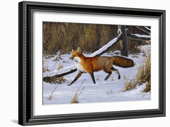 Fox Trot - Red Fox-Wilhelm Goebel-Framed Giclee Print