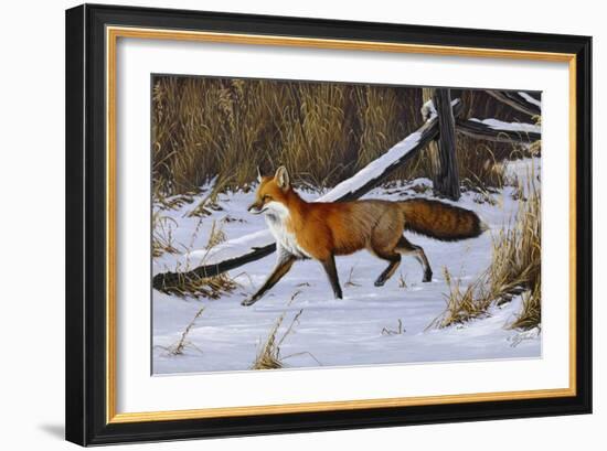 Fox Trot - Red Fox-Wilhelm Goebel-Framed Giclee Print