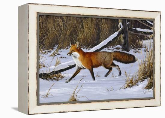 Fox Trot - Red Fox-Wilhelm Goebel-Framed Premier Image Canvas