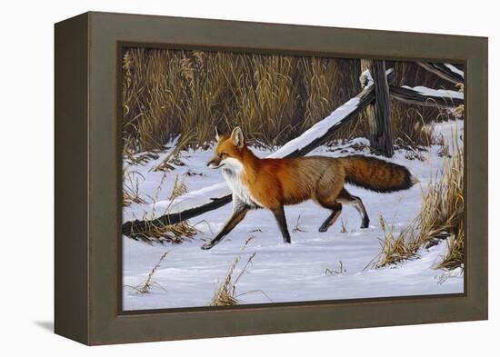 Fox Trot - Red Fox-Wilhelm Goebel-Framed Premier Image Canvas