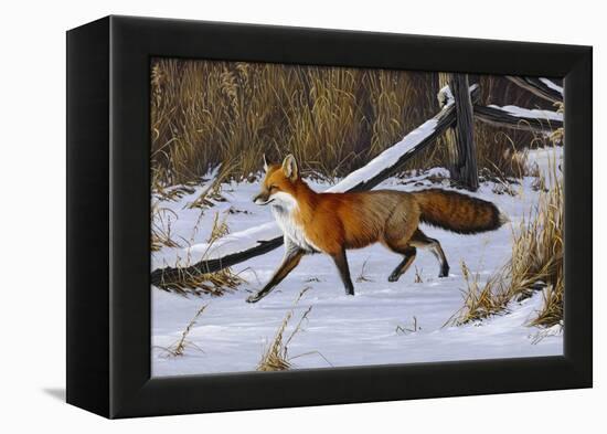 Fox Trot - Red Fox-Wilhelm Goebel-Framed Premier Image Canvas