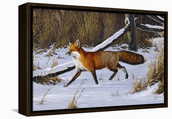 Fox Trot - Red Fox-Wilhelm Goebel-Framed Premier Image Canvas