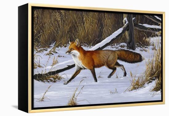 Fox Trot - Red Fox-Wilhelm Goebel-Framed Premier Image Canvas