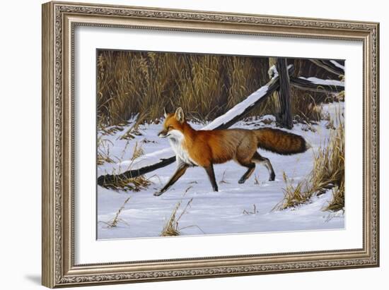 Fox Trot - Red Fox-Wilhelm Goebel-Framed Premium Giclee Print